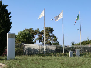 bandiere