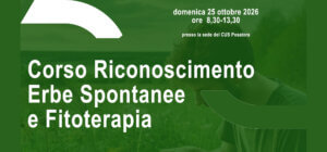Al via il corso di erbe spontanee